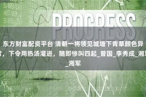 东方财富配资平台 清朝一将领见城墙下青草颜色异常，下令用热汤灌进，随即惨叫四起_曾国_李秀成_湘军