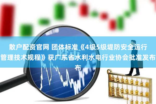 散户配资官网 团体标准《4级5级堤防安全运行管理技术规程》获广东省水利水电行业协会批准发布