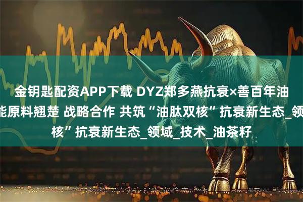 金钥匙配资APP下载 DYZ郑多燕抗衰×善百年油脂科技×维琪肽能原料翘楚 战略合作 共筑“油肽双核”抗衰新生态_领域_技术_油茶籽