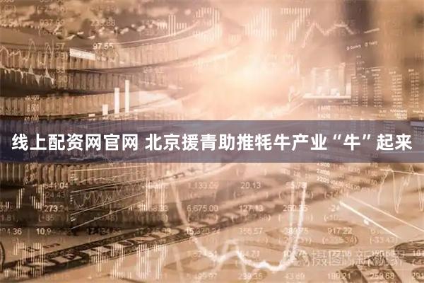 线上配资网官网 北京援青助推牦牛产业“牛”起来