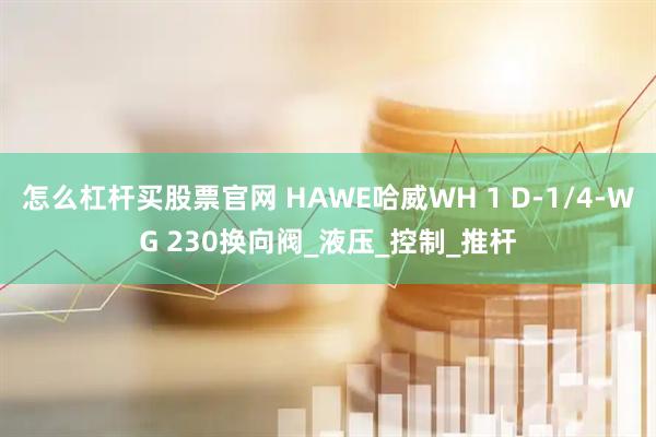 怎么杠杆买股票官网 HAWE哈威WH 1 D-1/4-WG 230换向阀_液压_控制_推杆