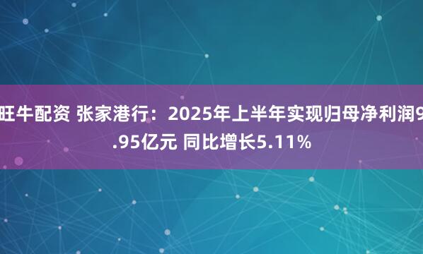 旺牛配资 张家港行：2025年上半年实现归母净利润9.95亿元 同比增长5.11%