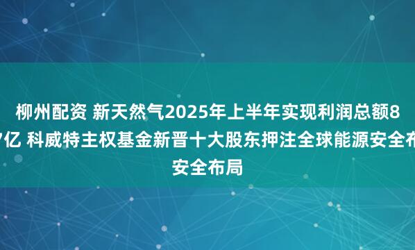 柳州配资 新天然气2025年上半年实现利润总额8.87亿 科威特主权基金新晋十大股东押注全球能源安全布局