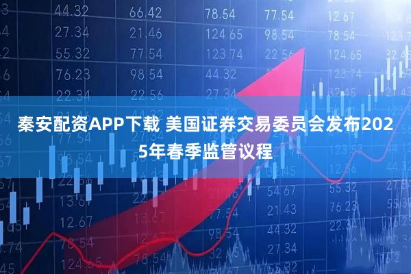 秦安配资APP下载 美国证券交易委员会发布2025年春季监管议程